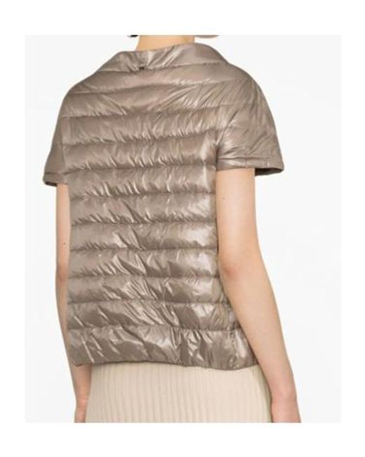 Herno Gray Down Jacket