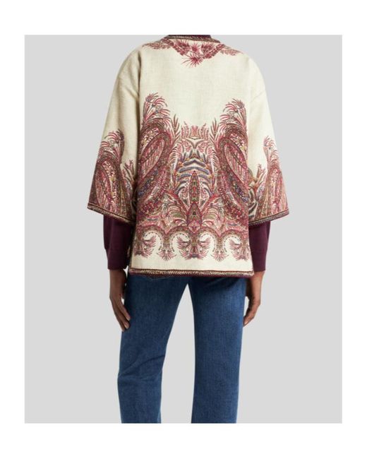 Etro Brown Capes
