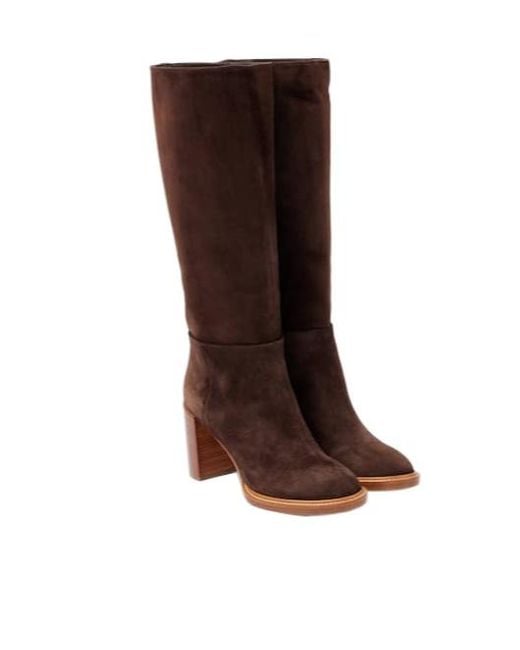 Gabriela Hearst Brown Bocca Suede Knee-High Boots