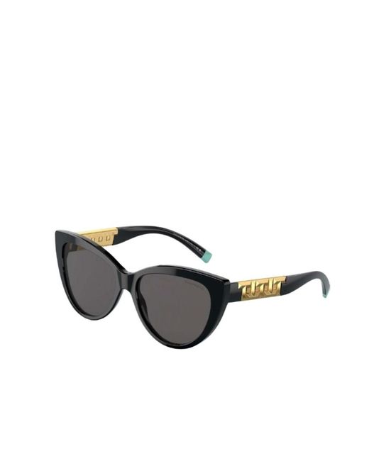 Tiffany & Co Multicolor Cat-Eye Frame Sunglasses