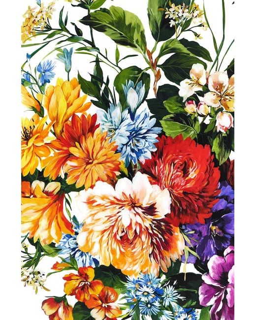 Dolce & Gabbana Red Floral Printed Scarf
