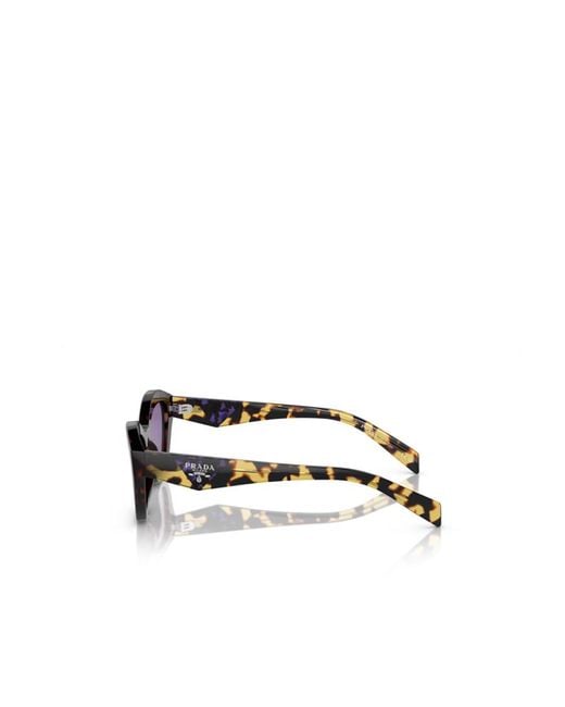 Prada Purple Eyewear Butterfly Frame Sunglasses