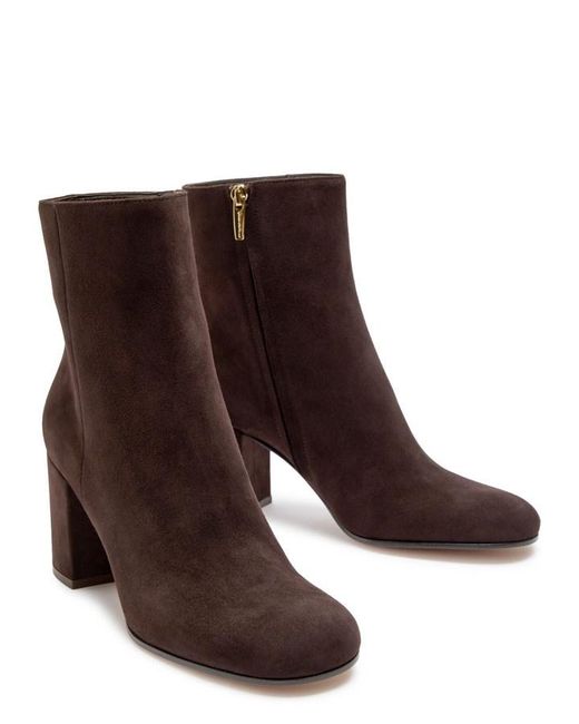 Gianvito Rossi Brown Joelle 80 Suede Ankle Boots