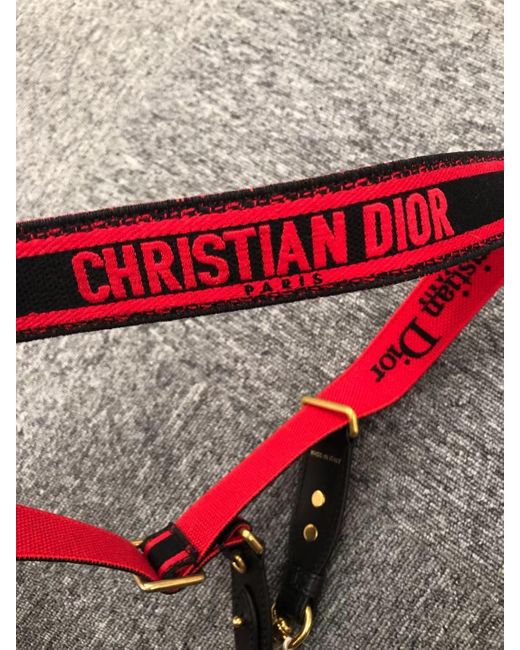 Dior Gray Logo Bandage