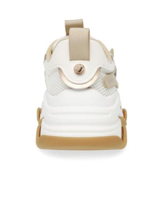 Steve Madden White Possession Sneakers