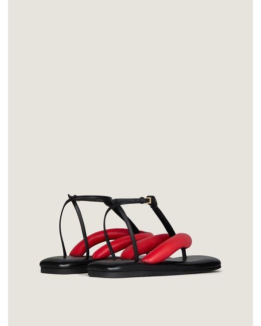 Givenchy Red Boudoir Bicolor Thongs