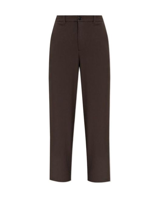 AllSaints Brown Halla Wide-Leg Pants for men