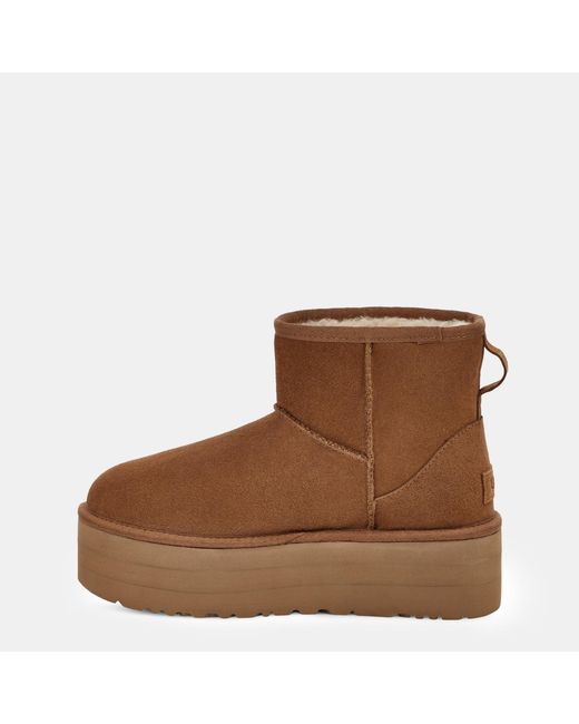 Ugg Brown Classic Mini Platform Boots