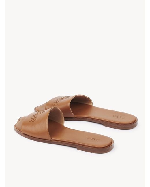 Chloé Brown Chloé Soleil Flat Sandals