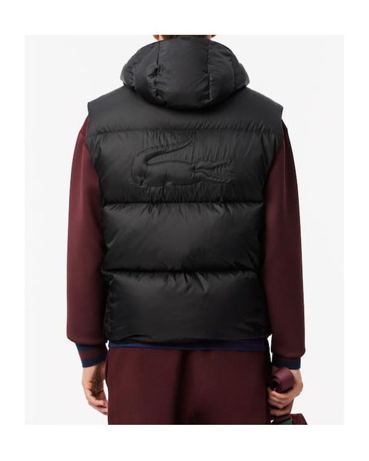 Lacoste Black Padded Gilet for men