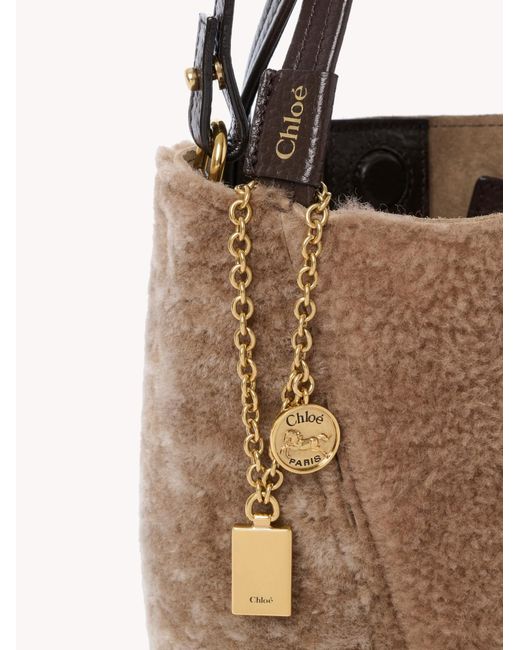 Chloé Brown Chloé Shearling Spin Tote Bag