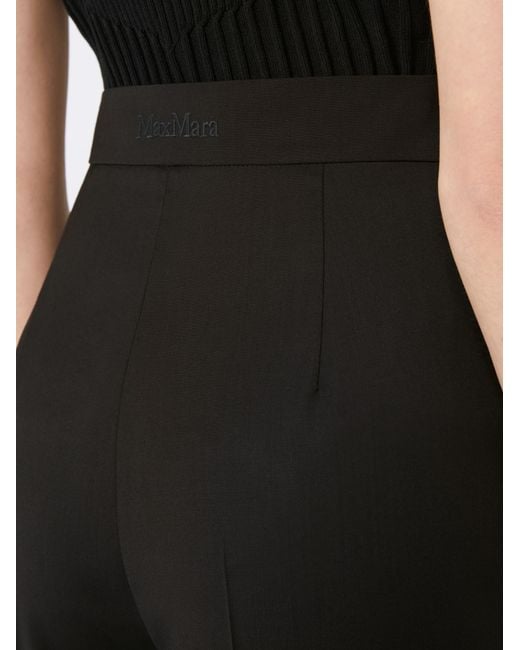 Max Mara Black Fernet High Waist Wide-Leg Trousers