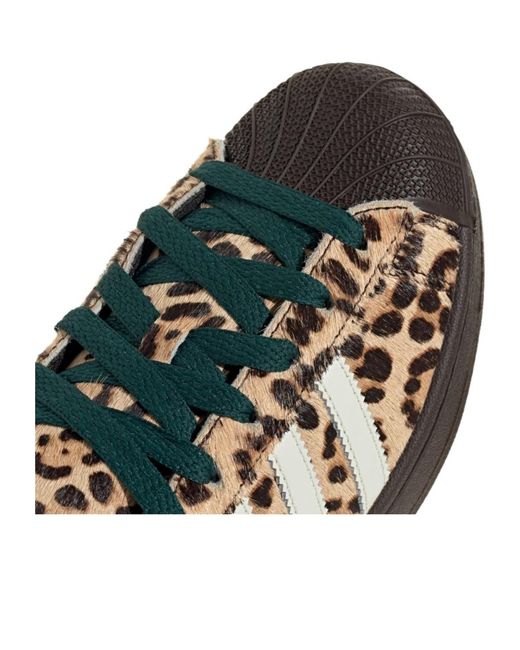 Adidas Originals Brown Leopard Lace Up Sneakers
