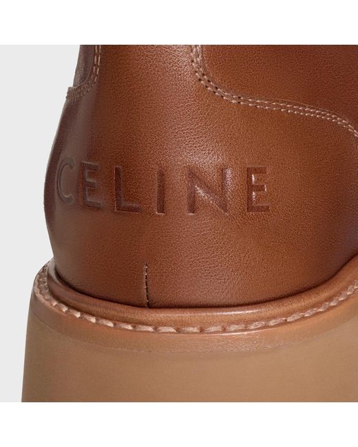 Céline Brown Triomphe Derbies