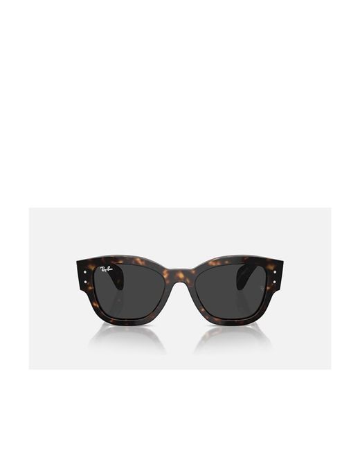Ray-Ban Multicolor Full-Frame Sunglasses