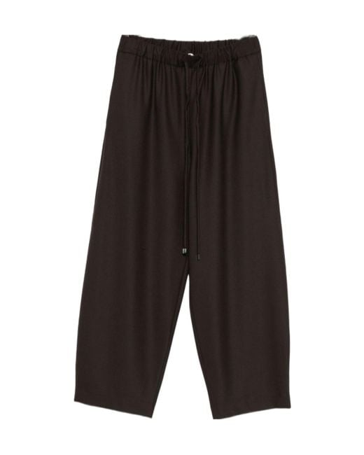 Antonelli Black Drawstring Waist Casual Pants