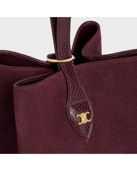 Céline Red Small Amber