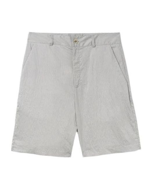 GIMAGUAS Gray Nicolas Pinstripe Shorts for men