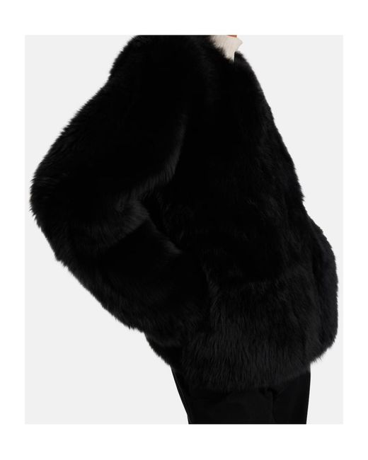 Joseph Black Gomez Fur