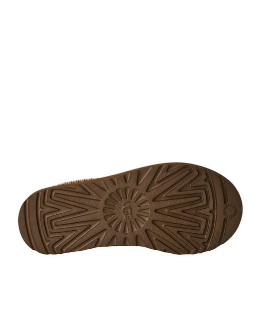 Ugg Brown Tasman Ii
