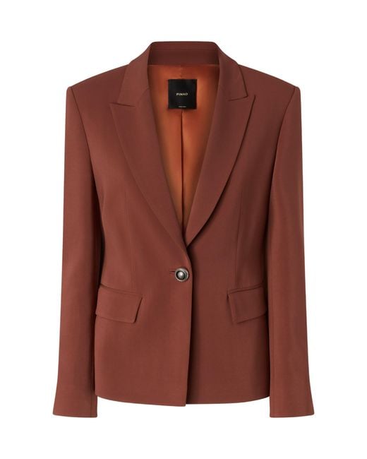 Pinko Brown Single Buttoned Tailored Blazer