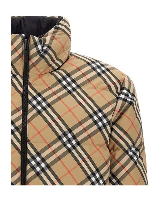 Burberry Brown Snowdon Down Jacket for men