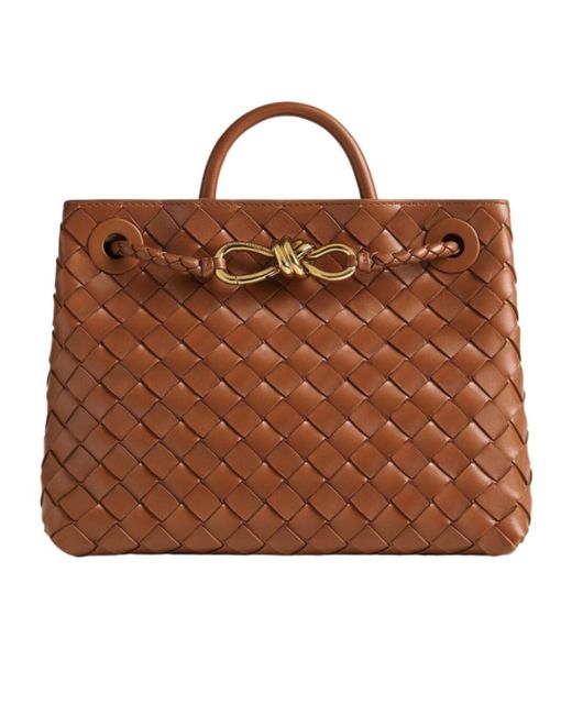 Bottega Veneta Brown Andiamo Small Tote Bag