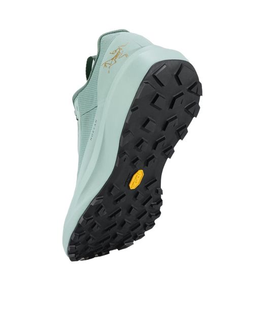 Arc'teryx Green Norvan Ld 4 Gtx Shoe for men