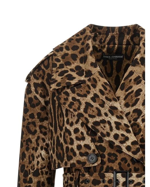 Dolce & Gabbana Brown Leopard Printed Trench Coat
