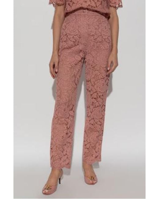 Dolce & Gabbana Floral Lace Tailored Pants