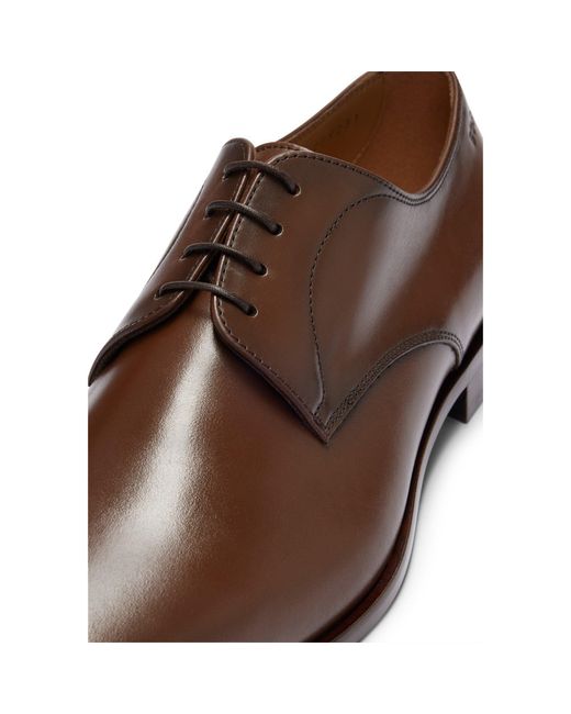 Boss Brown Solid Formal Shoes for men