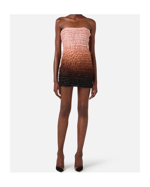 Elisabetta Franchi Brown Tulle Mini Dress