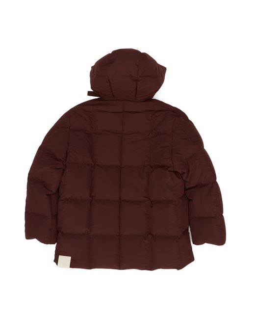 Jil Sander Brown Zip-Up Hooded Down Coat