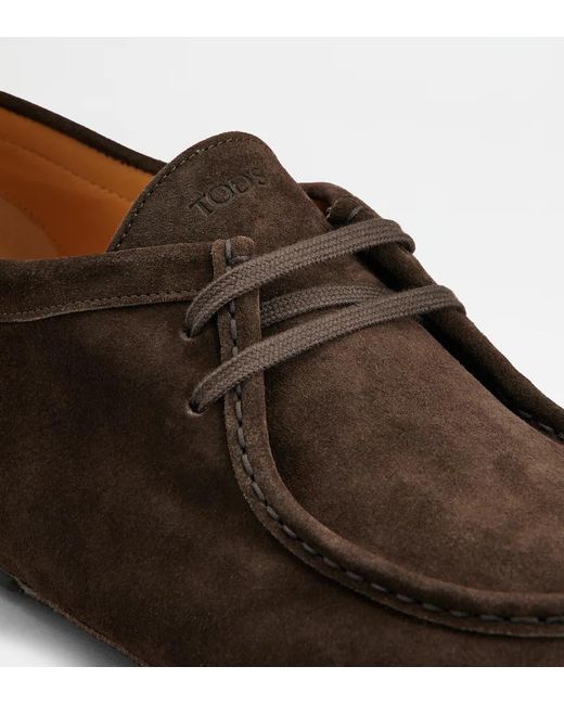 Tod's Brown Lace-Up Derby Shoes for men