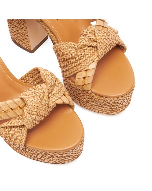 Casadei Multicolor Interwoven Knot-Detailed Sandals