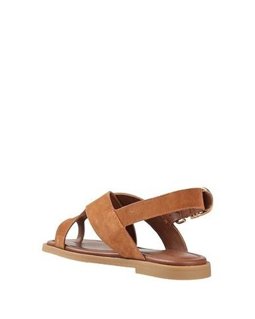 Rag & Bone Brown Toe Strap Flat Sandals