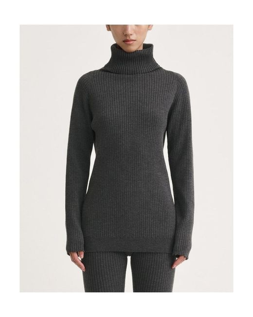 Totême  Blue Totême Ribbed Turtleneck Sweater