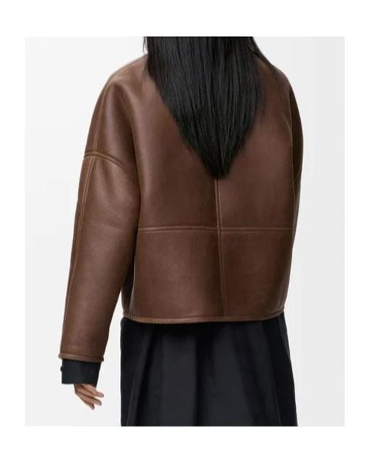 Loewe Brown Pebble Cardigan