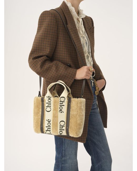 Chloé Metallic Chloé Small Woody Tote Bag