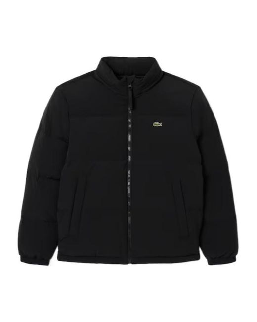 Lacoste Black Quilted Padded Jacket for men