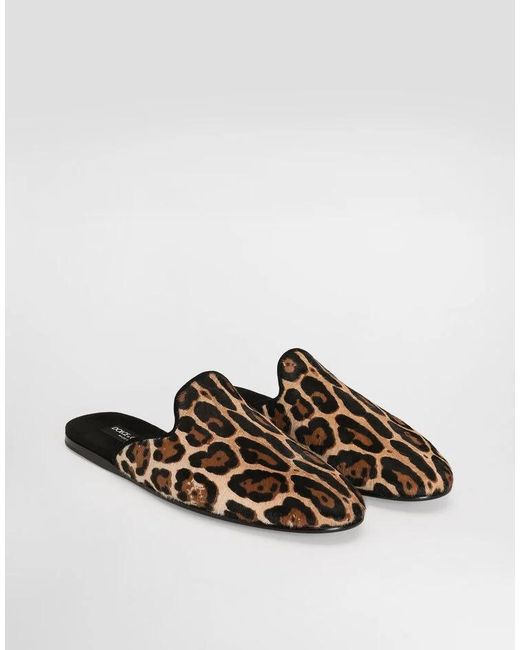 Dolce & Gabbana Brown Leopard Printed Slides for men