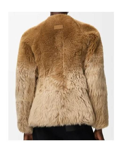 Loewe Brown Jacket
