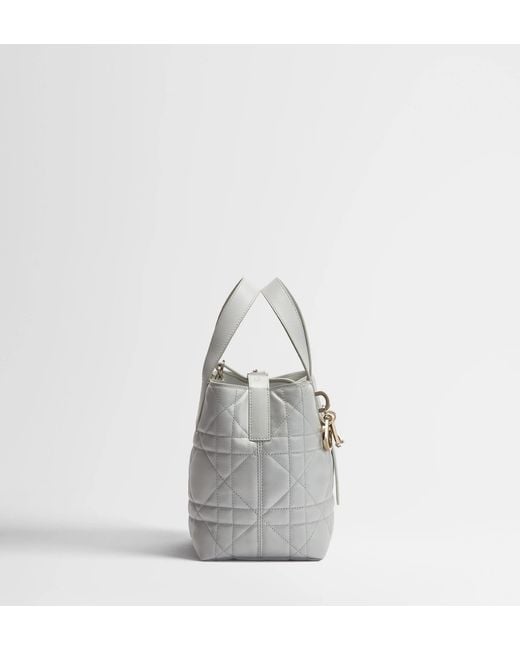 Dior Gray Small Toujours Vertical Tote Bag