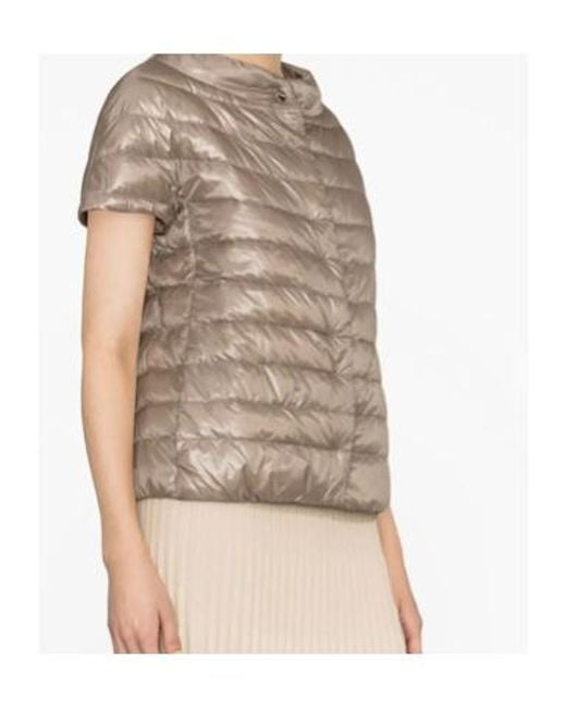 Herno Gray Down Jacket