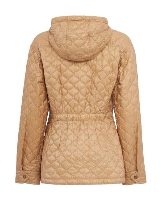Moncler Brown Arum Hooded Nylon Down Jacket