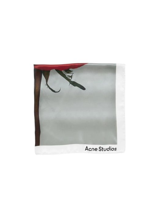 Acne Gray Rose-Print Silk Scarf
