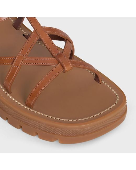 Céline Brown Clea Triomphe Strappy Sandal