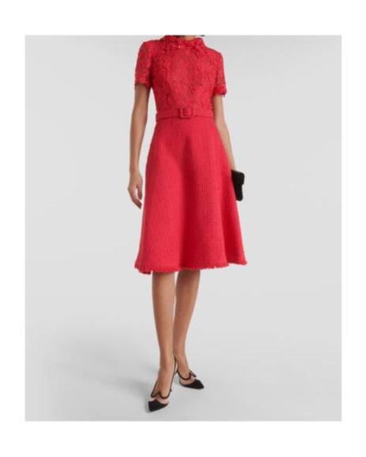 Oscar de la Renta Red Gardenia Guipure And Tweed Midi Dress