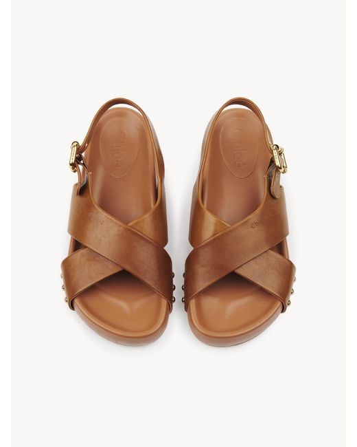 Chloé Brown Chloé Mae Buckle Detailed Sandals