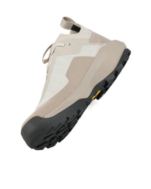 Arc'teryx Gray Vertex Alpine Gtx Shoe